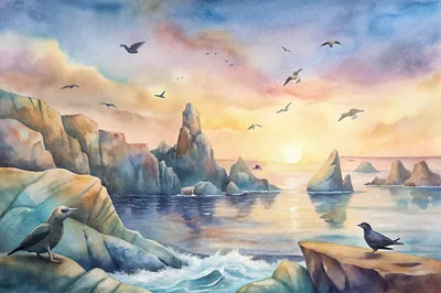 Ballestas Islands