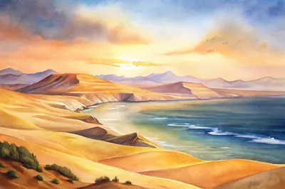 Paracas National Reserve