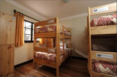 a room with three bunk beds in a cabin at Bear Packer Hostel in Cusco