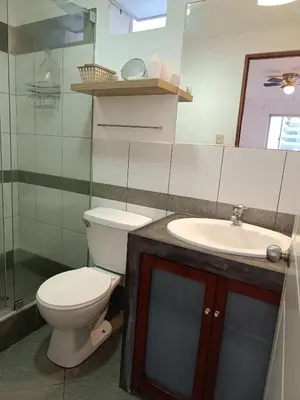 a bathroom with a toilet and a sink at Runawasi Apartments - Amaru 3BDR in Lima