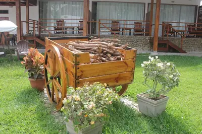 a wooden cart full of logs in a yard at El Molino Hotel y Restaurant in Lunahuaná