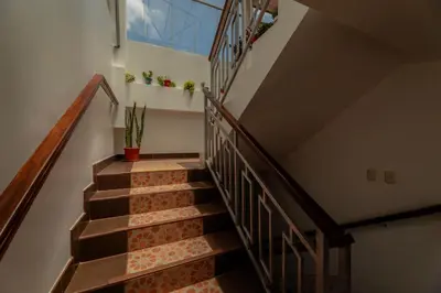 a stairway with a potted plant and a window at Dreams Boutique Hotel Cusco in Cusco