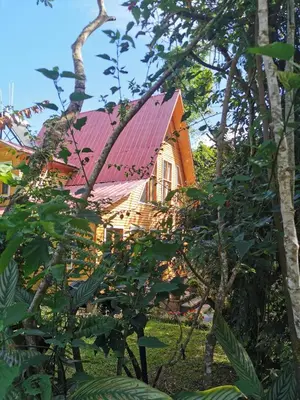 a house with a red roof and some trees at La casa del Erizo in Oxapampa