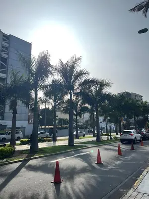 a street with orange cones in the road with palm trees at Bright 1BR close to boulevard in Lima