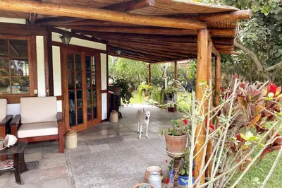 a white dog standing in the middle of a patio at Casa de campo con piscina en Asia in Asia