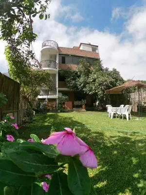 a house with a pink flower in the yard at Casa de Campo en Lunahuaná con jardin amplio para Familias y Amigos in Lunahuaná