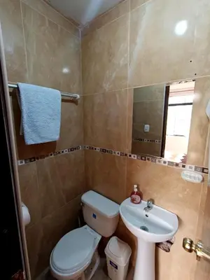 a bathroom with a toilet and a sink at Casa de Campo en Lunahuaná con jardin amplio para Familias y Amigos in Lunahuaná