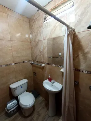 a bathroom with a toilet and a sink at Casa de Campo en Lunahuaná con jardin amplio para Familias y Amigos in Lunahuaná