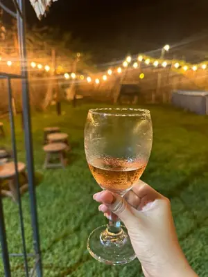 a person holding a glass of wine at night at Casa de Campo en Lunahuaná con jardin amplio para Familias y Amigos in Lunahuaná