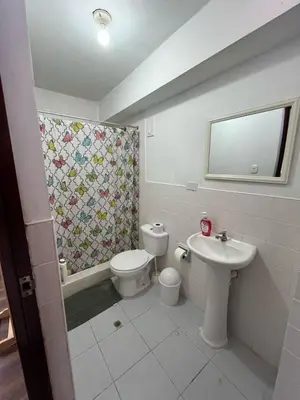 a bathroom with a toilet and a sink at Harmony Inn Miraflores in Lima