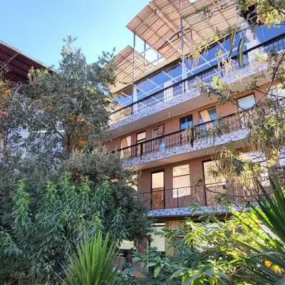 Vertigo Climbing Hostel