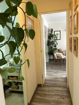 a hallway with a potted plant in a room at departamento encantador céntrico con balcon in Lima