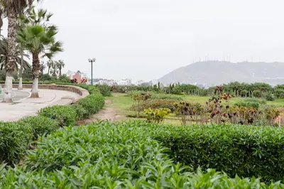 a garden with a path and bushes and palm trees at Stunning Modern 1BD Apartment in Barranco in Lima