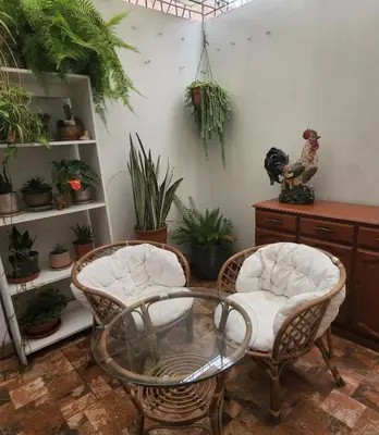 two chairs and a glass table in a room with plants at Casita Cultura in Lima
