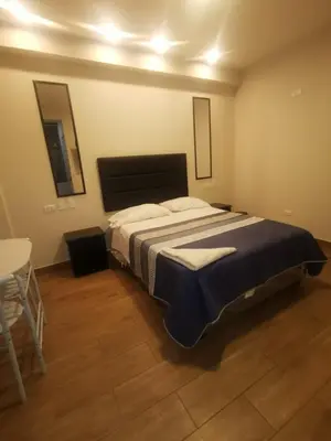 a bedroom with a large bed in a room at Hotel Sol de Marcona in San Juan de Marcona