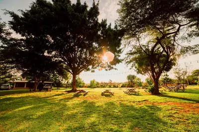 a park with two trees and a picnic table at Hotel Fundo El Arrabal in Ica