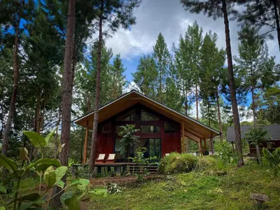 a small cabin in the middle of a forest at Oasis Blue Oxapampa in Palmira