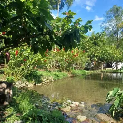 El Cacaotal Finca Faura #5 3H