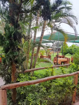 a garden with a fence and a palm tree at URMA 2 in Barranca