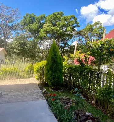 a garden with a tree and a fence at Carol Haus in Oxapampa