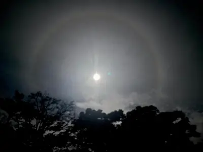 a full moon in the sky behind some trees at Carol Haus in Oxapampa