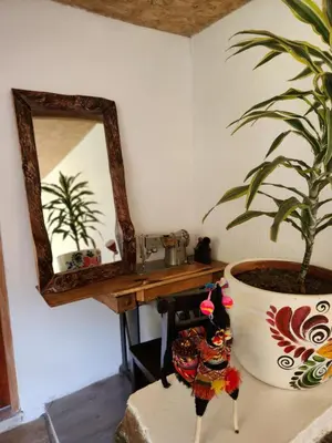 a mirror on a table next to a potted plant at Spirit Of The River Lodge in Cusco