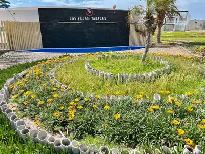 a garden of flowers in front of a building at 1er Piso Vista a Bahía Paracas - Las Velas 102 T1 in Paracas