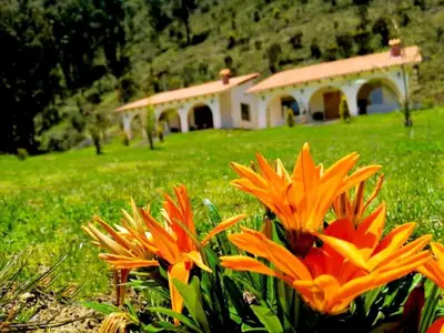 a flower in a field with a building in the background at Fundo Alma Andina in Jauja