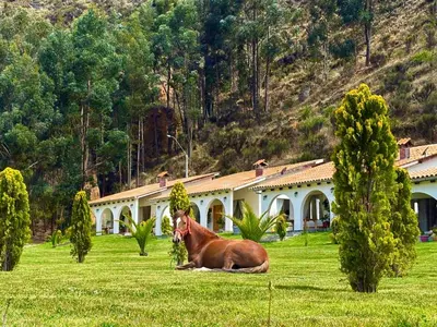 a horse laying in the grass in front of a house at Fundo Alma Andina in Jauja
