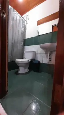 a bathroom with a toilet and a sink at HOSPEDAJE D`NOA En el centro de Oxapampa in Oxapampa
