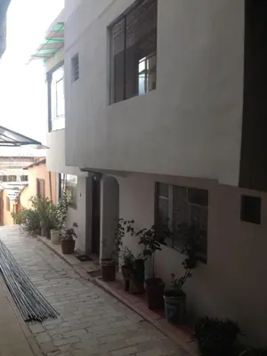 a building with potted plants on the side of it at Arcopata Apartamentos in Cusco