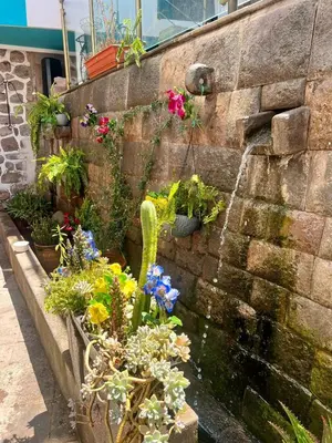 a garden with flowers and a water fountain at Magar Hostel Bar in Cusco