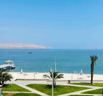 a view of a beach with palm trees and the ocean at Departamento Paracas vista al mar in Paracas