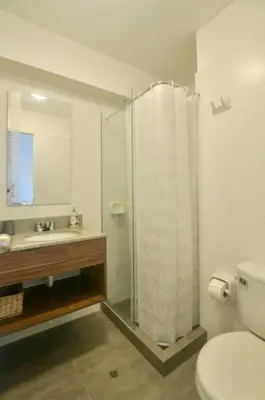 a bathroom with a shower and a toilet and a sink at Hermoso y amplio departamento en zona tranquila en Jesús Maria in Lima