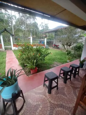a patio with four stools and some plants at Hospedaje Pinky Lodge in Oxapampa