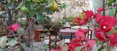 a table and chairs in a garden with red flowers at Departamento 5p Tierra del Sol Eterno - Ica centro in Ica