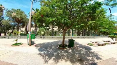 a tree in a park with benches and a trash can at El Boulevard de Huacachina in Ica