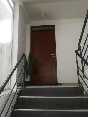 a stairway with a door and a potted plant at Encanta Perú Apartment in Cusco