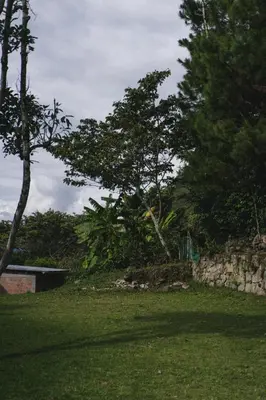 a park with trees and a stone wall and grass at Lucmabamba Lodge in Santa Teresa