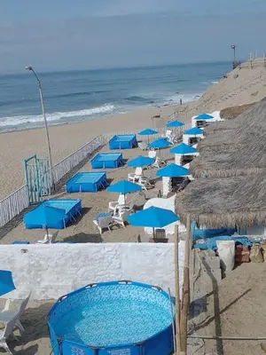 a group of blue umbrellas and chairs on a beach at Hamacas in Punta Negra