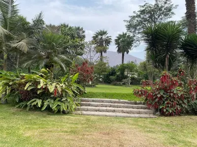 a set of stairs in a park with palm trees at FUNDO VIERA: Amplio y acogedor in Lima