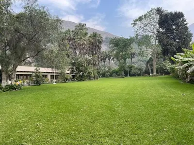 a large green field with trees and a building at FUNDO VIERA: Amplio y acogedor in Lima