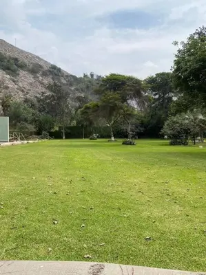 a large field of grass with a mountain in the background at FUNDO VIERA: Amplio y acogedor in Lima