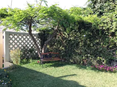 a bench sitting under a tree in a garden at La Casa de Isidora in Pan de Azúcar