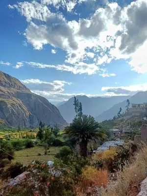 a view of a valley with a palm tree and mountains at Hotel El Gran Valletero in Cotahuasi