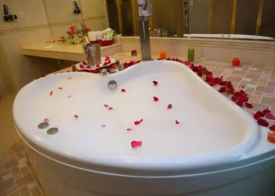 a bath tub filled with red rose petals in a bathroom at Hotel Princesa in Lima