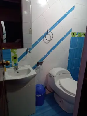 a bathroom with a toilet and a sink at Hospedaje TOSCANO SUITES in Huancayo