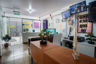 an office with a desk with a computer and plants at Magdalen House in Lima