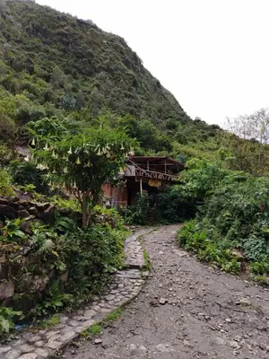 a house on the side of a mountain at HOSTEL SAMANA WASI CHAULLAY in Cusco