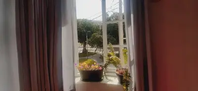 an open window with potted plants on a balcony at Quinoa Backpackers Hostel in Lima